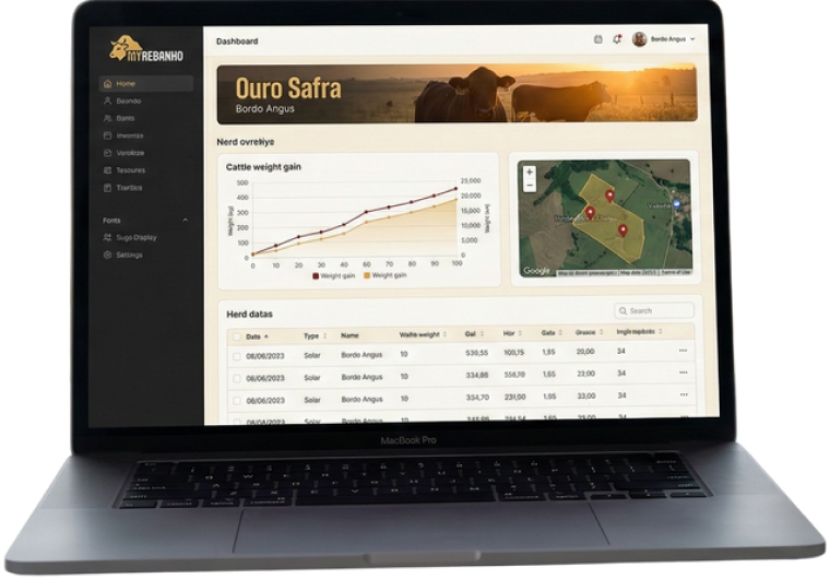 Plataforma Intuitiva